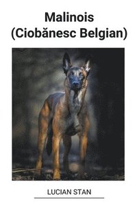 bokomslag Malinois (Ciob&#259;nesc Belgian)