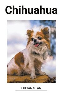 bokomslag Chihuahua