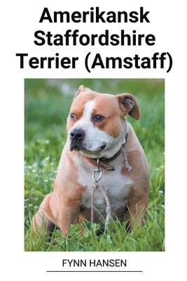 Amerikansk Staffordshire Terrier (Amstaff) 1