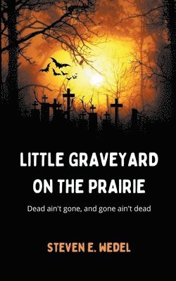 bokomslag Little Graveyard on the Prairie