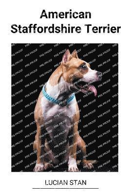 American Staffordshire Terrier 1