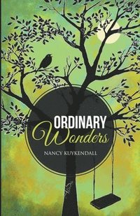 bokomslag Ordinary Wonders