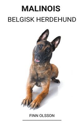 Malinois (Belgisk Herdehund) 1