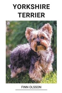 bokomslag Yorkshire Terrier