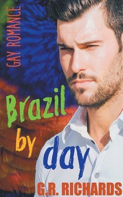bokomslag Brazil by Day