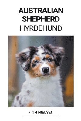 Australian Shepherd (Hyrdehund) 1