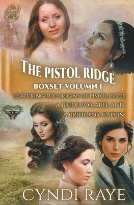 bokomslag Pistol Ridge Volume 1