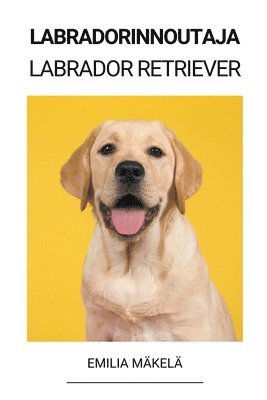 Labradorinnoutaja (Labrador Retriever) 1