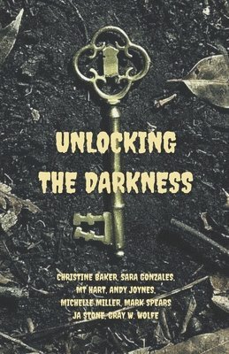 Unlocking the Darkness 1