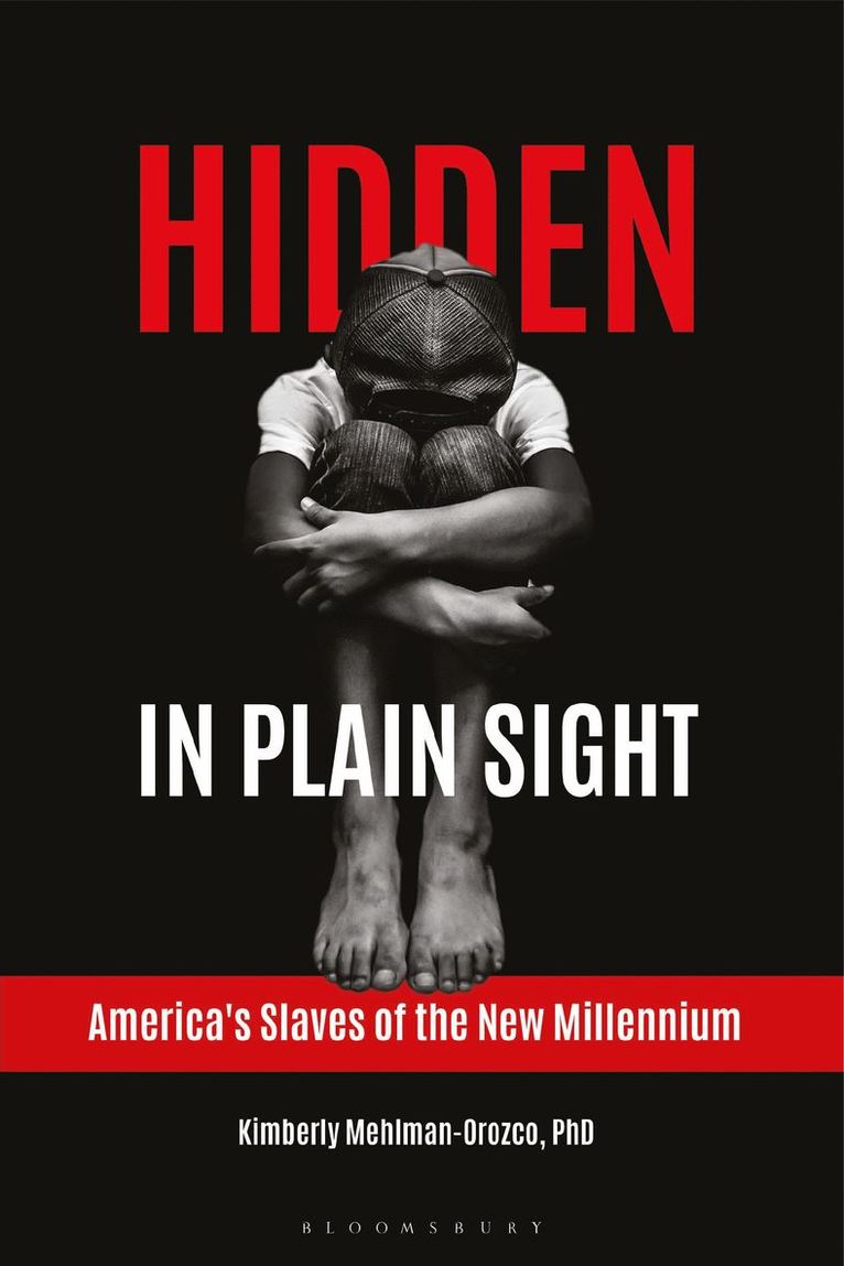 Kimberly Mehlman-Orozco - Hidden in Plain Sight, Häftad