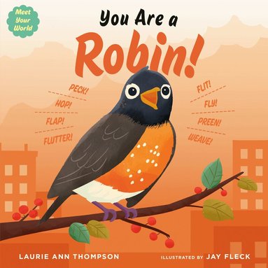 Laurie Ann Thompson - You Are a Robin!, Kartonnage