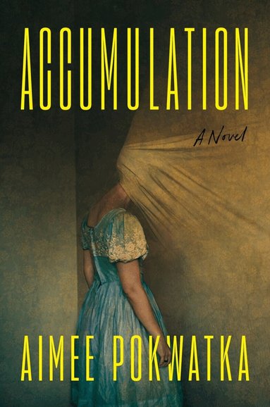 Aimee Pokwatka - Accumulation, Inbunden