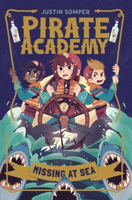 bokomslag Pirate Academy: Missing at Sea