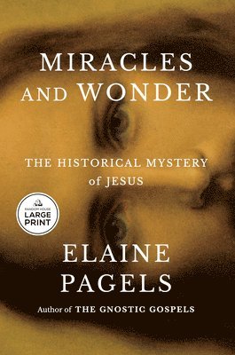 bokomslag Miracles and Wonder: The Historical Mystery of Jesus