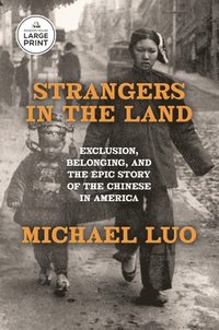 bokomslag Strangers in the Land: Exclusion, Belonging, and the Epic Story of the Chinese in America