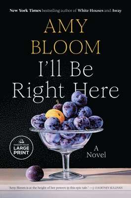 Amy Bloom - I'll Be Right Here, Häftad