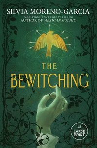 bokomslag The Bewitching