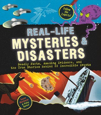 bokomslag Real-Life Mysteries & Disasters: Deadly Facts, Amazing Evidence, and the True Stories Behind 22 Incredible Events