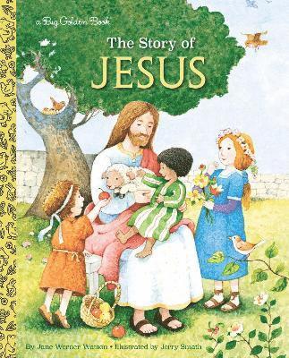 bokomslag Story of Jesus