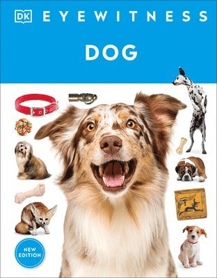 bokomslag Eyewitness Dog