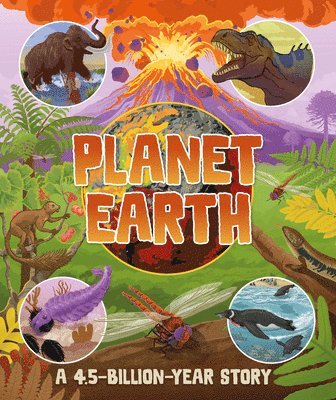 bokomslag Planet Earth: A 4.5 Billion Year Story