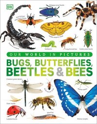 bokomslag Our World in Pictures Bugs, Butterflies, Beetles and Bees