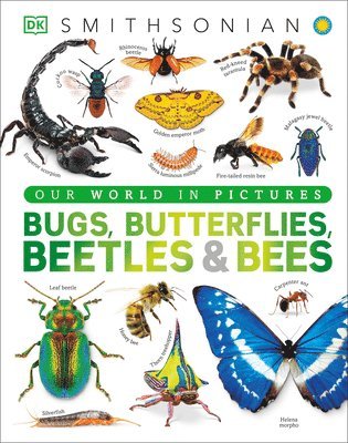 DK, Dk - Our World in Pictures Bugs, Butterflies, Beetles and Bees, Inbunden