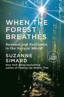 Suzanne Simard - When the Forest Breathes: Renewal and Resilience in the Natural World, Häftad