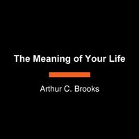 bokomslag The Meaning of Your Life: Finding Purpose in an Age of Emptiness