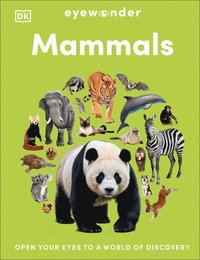 bokomslag Eyewonder Mammals