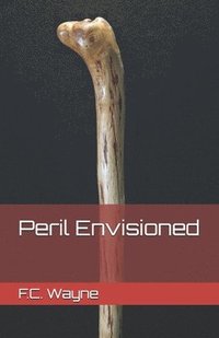 bokomslag Peril Envisioned