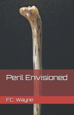 bokomslag Peril Envisioned