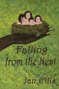 bokomslag Falling From The Nest
