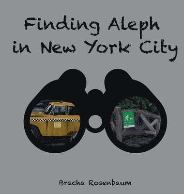Finding Aleph in New York City 1