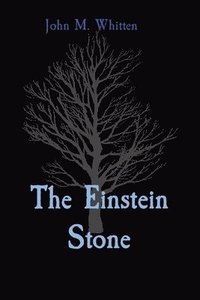 bokomslag The Einstein Stone