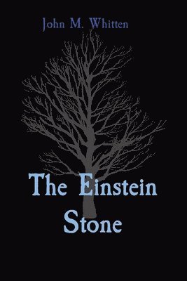 bokomslag The Einstein Stone