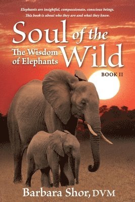 Soul of the Wild 1