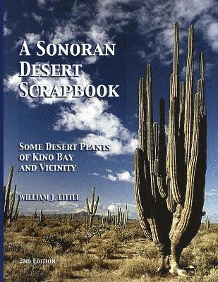 bokomslag A Sonoran Desert Scrapbook