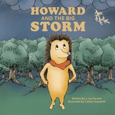 bokomslag Howard And The Big Storm