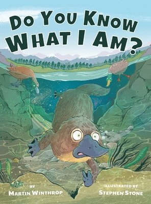 Do You Know What I Am?