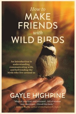 bokomslag How To Make Friends With Wild Birds