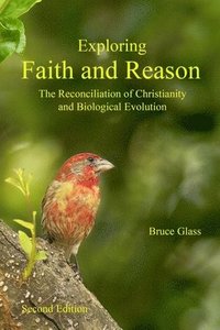 bokomslag Exploring Faith and Reason