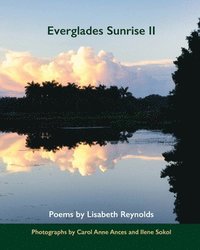 bokomslag Everglades Sunrise II
