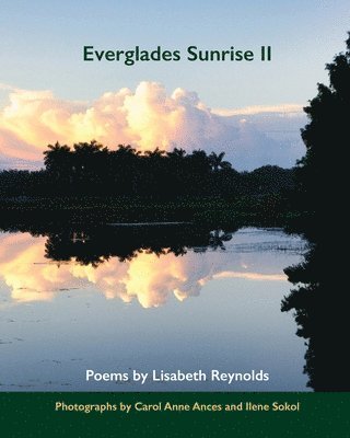 Everglades Sunrise II 1