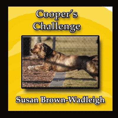 Cooper's Challenge 1