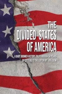 bokomslag The Divided States of America