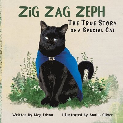 Zig Zag Zeph 1