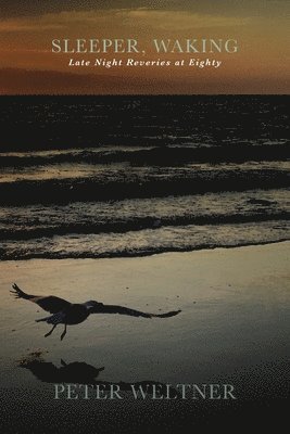 Sleeper, Waking / Late Night Reveries at Eighty