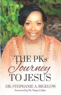 bokomslag The Pks Journey to Jesus