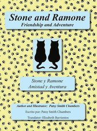 bokomslag Stone and Ramone